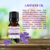French Lavender Essential Oil - 10 mL