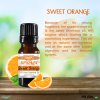 Sweet Orange Essential Oil - 10 mL