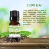 Clove Leaf Essential Oil -10 mL