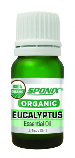 Organic Eucalyptus Essential Oil -10 mL - Click Image to Close