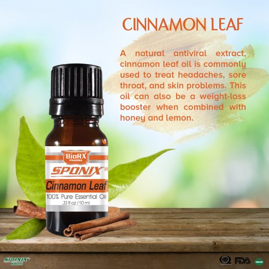 Cinnamon Leaf Essential Oil - 10 mL - Click Image to Close