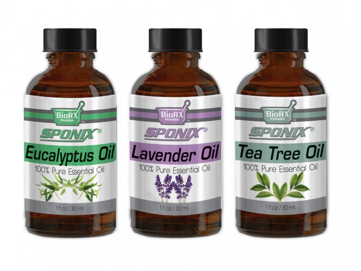 3-Pack Essential Oils Set - (Eucalyptus, Lavender, Tea Tree) - 1 OZ - Click Image to Close