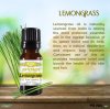 Lemongrass Essential Oil -10 mL