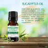 Eucalyptus Essential Oil - 10 mL