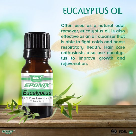 Eucalyptus Essential Oil - 10 mL - Click Image to Close