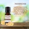 Frankincense Essential Oil - 10 mL