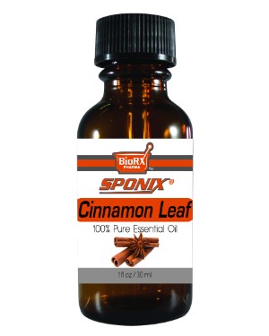 Cinnamon Leaf Essential Oil - 1 OZ - Click Image to Close