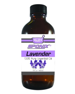French Lavender Essential Oil - 4 OZ - Click Image to Close
