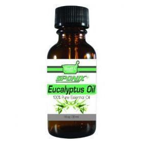 Eucalyptus Essential Oil - 1 OZ