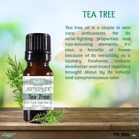 Tea Tree Essential Oil - 10 mL - Click Image to Close