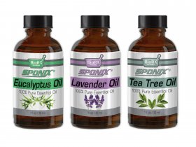 3-Pack Essential Oils Set - (Eucalyptus, Lavender, Tea Tree) - 1 OZ