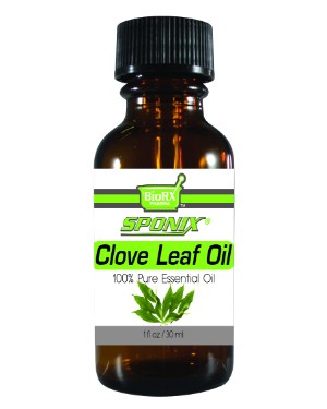 Clove Leaf Essential Oil -1 OZ - Click Image to Close