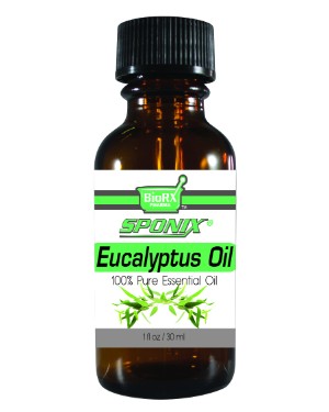 Eucalyptus Essential Oil - 1 OZ - Click Image to Close